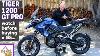 Triumph Tiger 1200 Gt Pro The New Face Of Sport Touring
